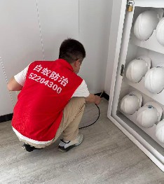 园区办公区白蚁防治